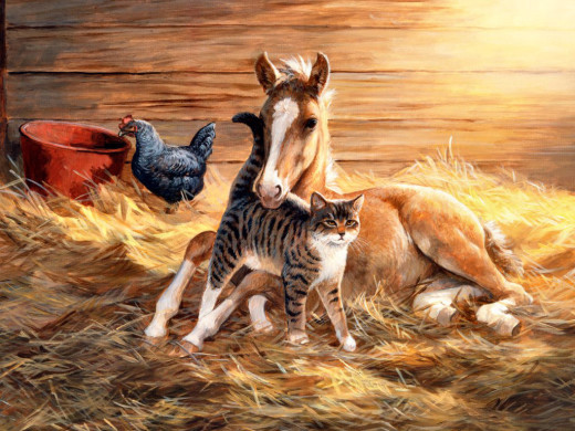 299410 (a): :1024x768